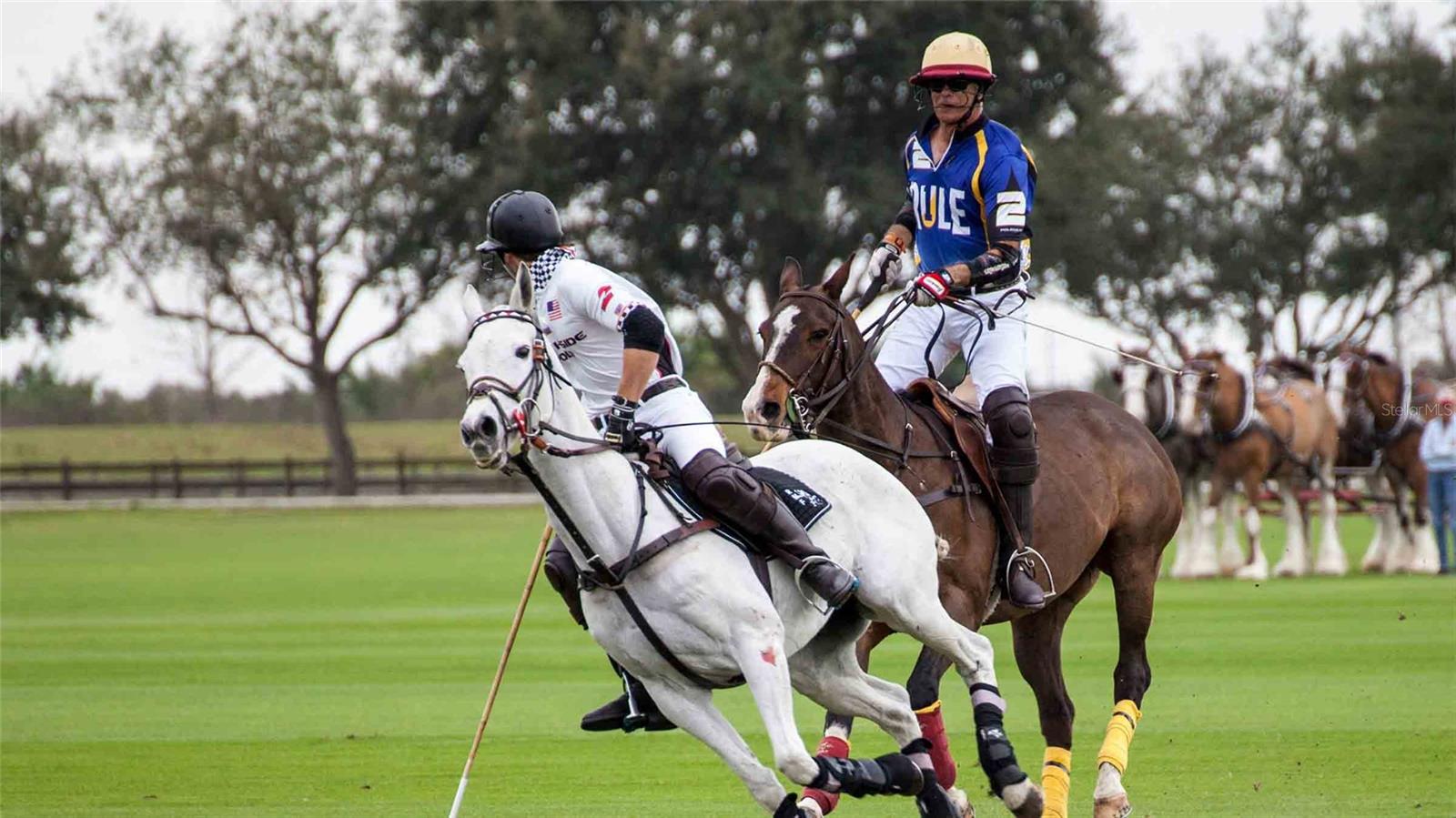 Image 33 of 36 For 17710 Cantarina Cove