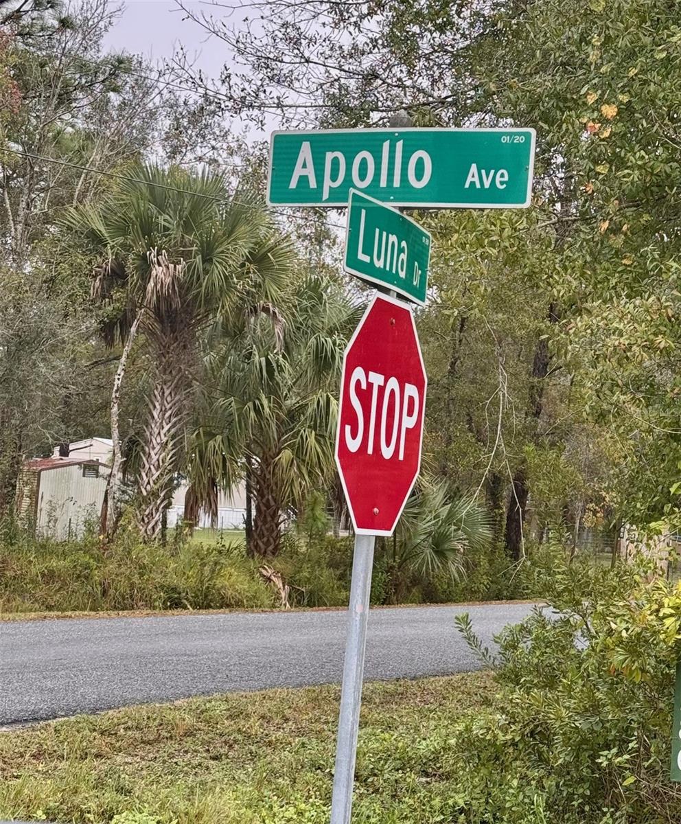 Image 42 of 50 For 5025 Apollo Avenue