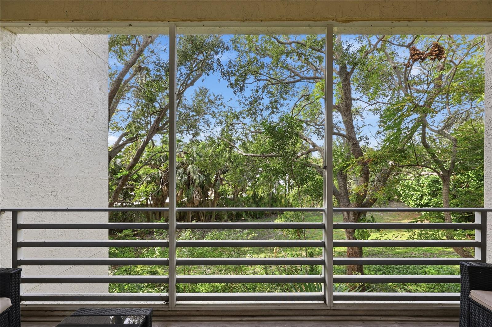 Image 16 of 45 For 4608 Mirabella Court