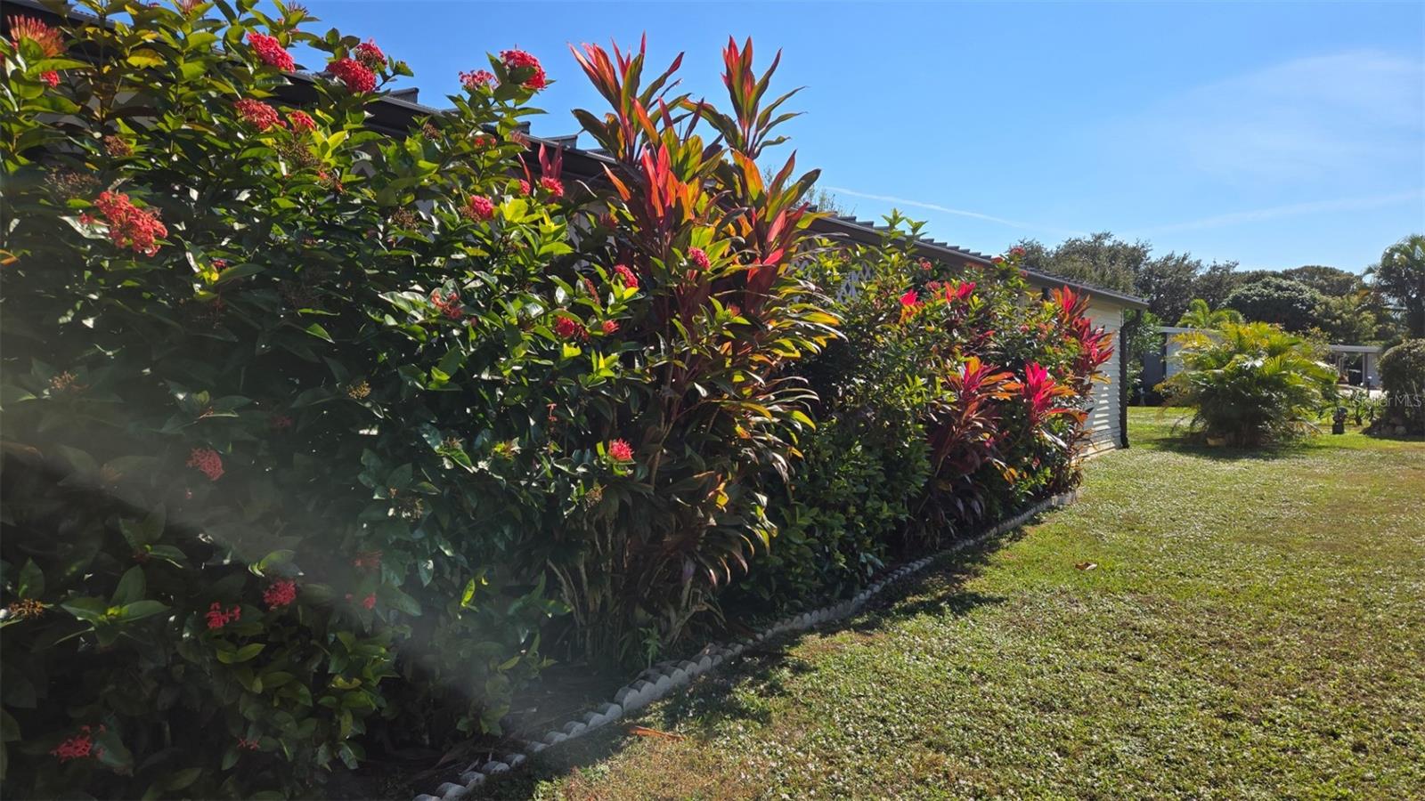 Image 35 of 49 For 927 Yew Street