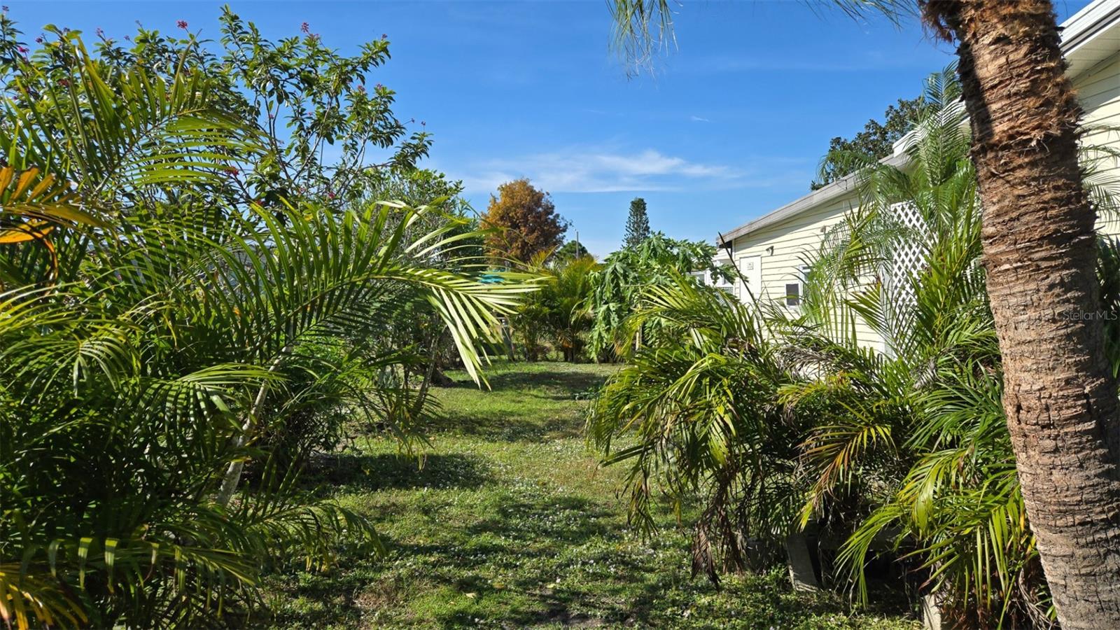 Image 39 of 49 For 927 Yew Street