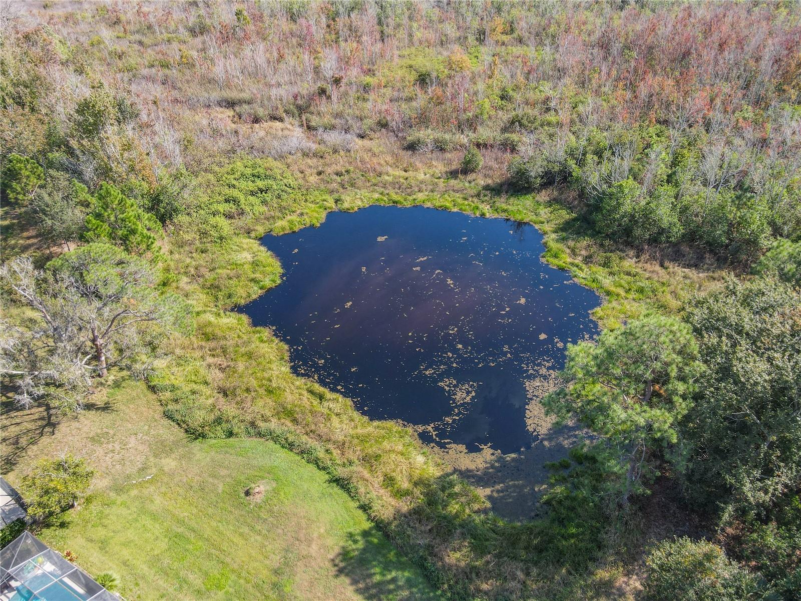 Image 45 of 45 For 2944 Sunset Vista Boulevard