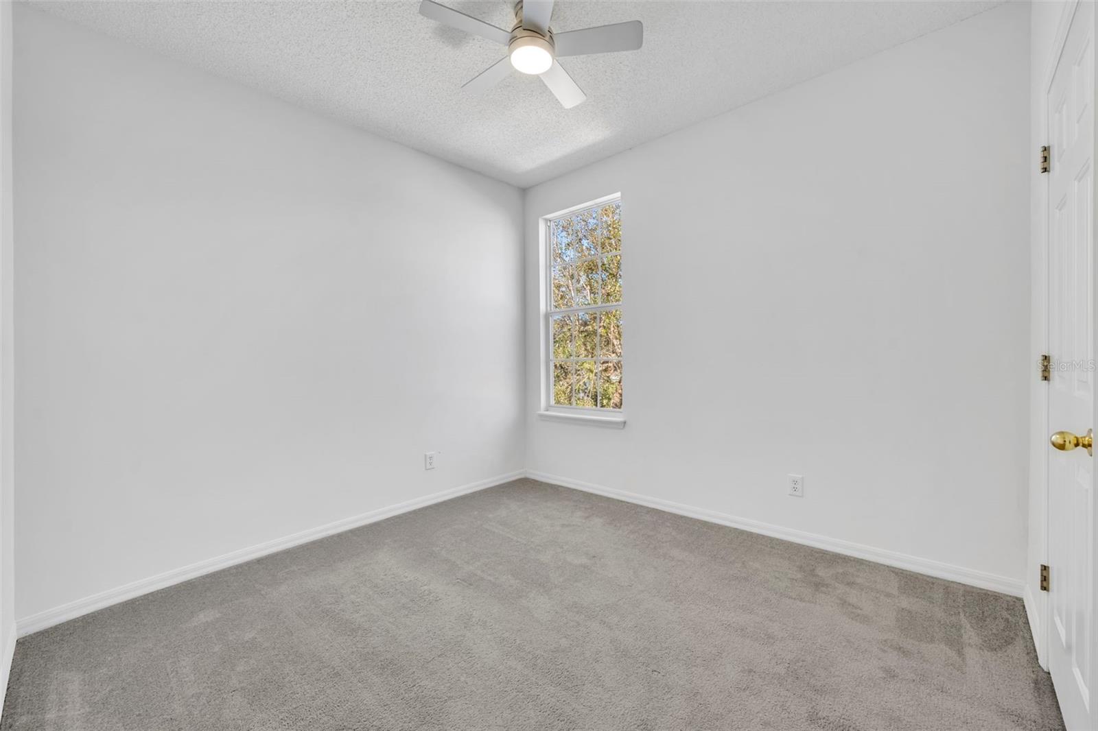 Image 31 of 45 For 107 Grinnell Place