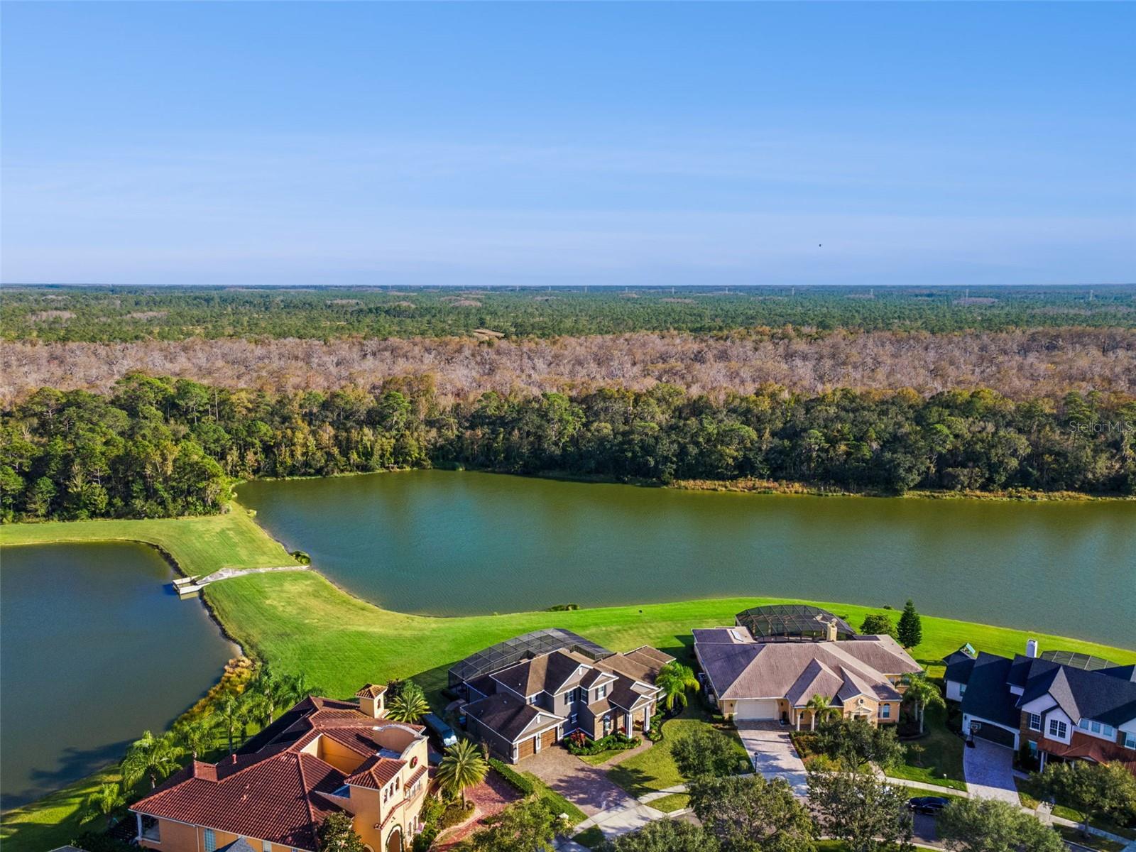 Image 55 of 80 For 14806 Tanja King Boulevard