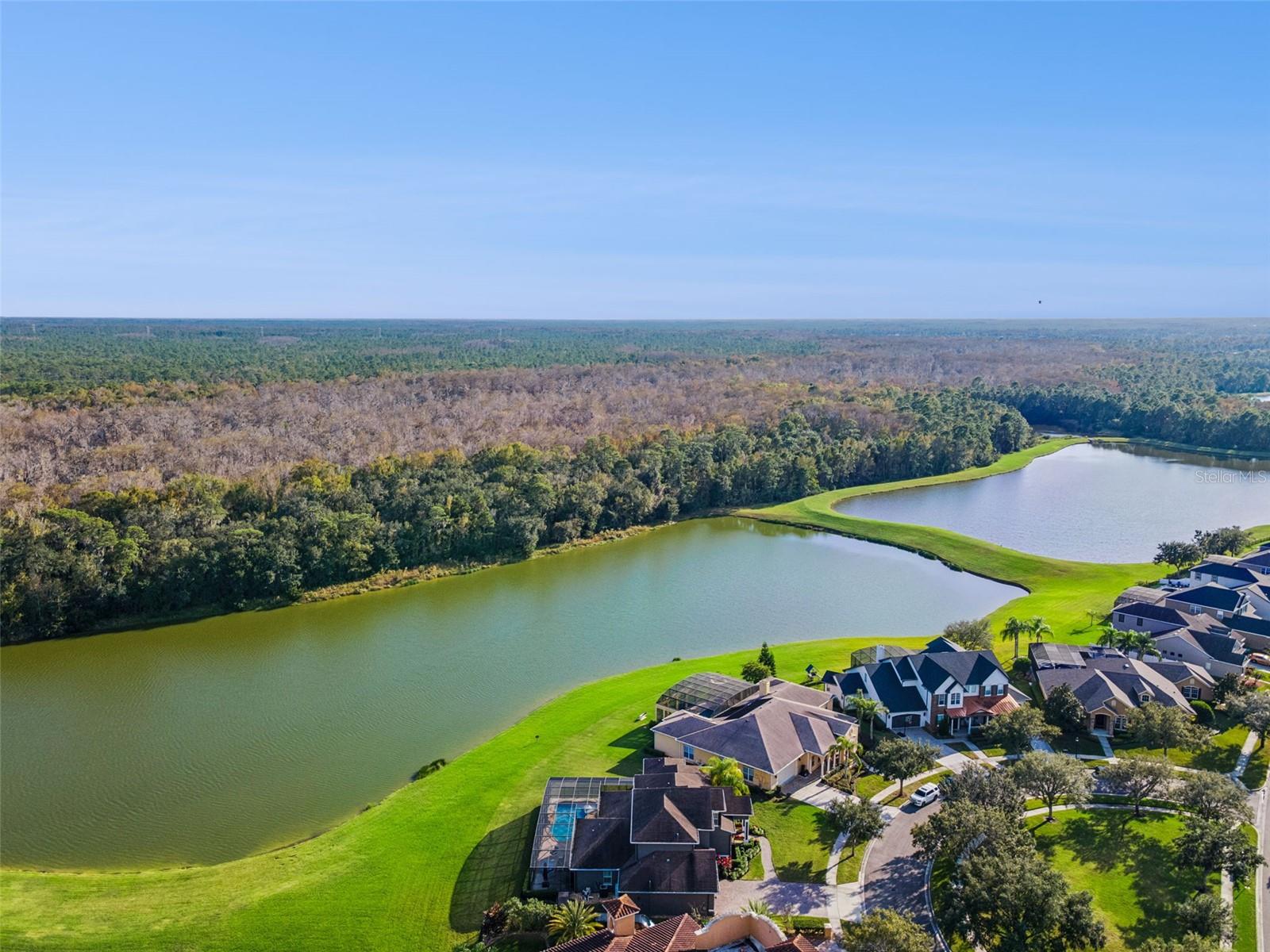 Image 56 of 80 For 14806 Tanja King Boulevard