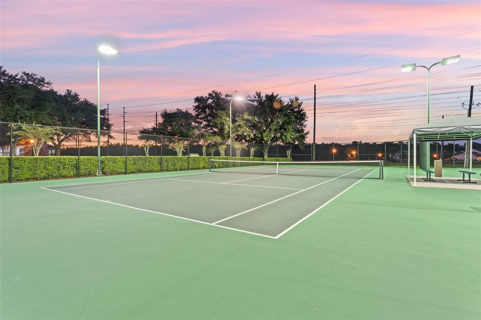 Image 72 of 80 For 14806 Tanja King Boulevard