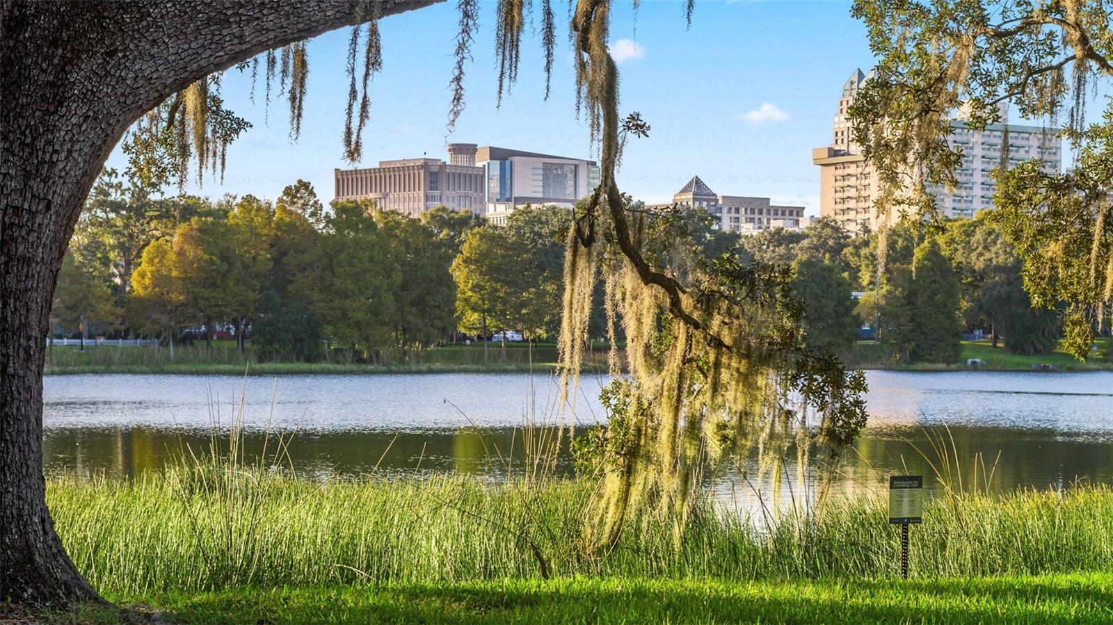 Image 79 of 80 For 14806 Tanja King Boulevard