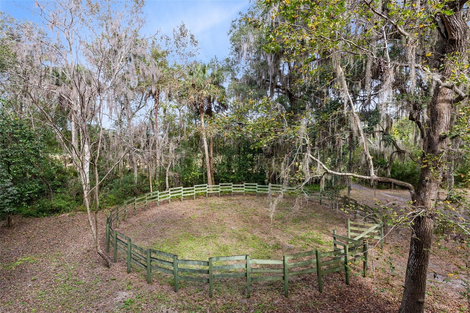 Image 29 of 30 For 1545 Palm Way