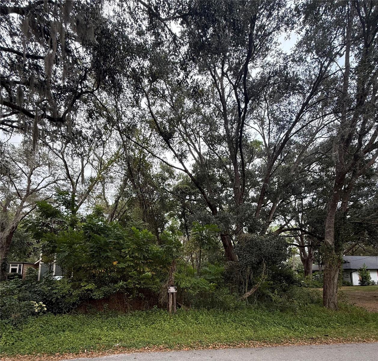 Image 2 of 3 For 8246 Via Bella Street