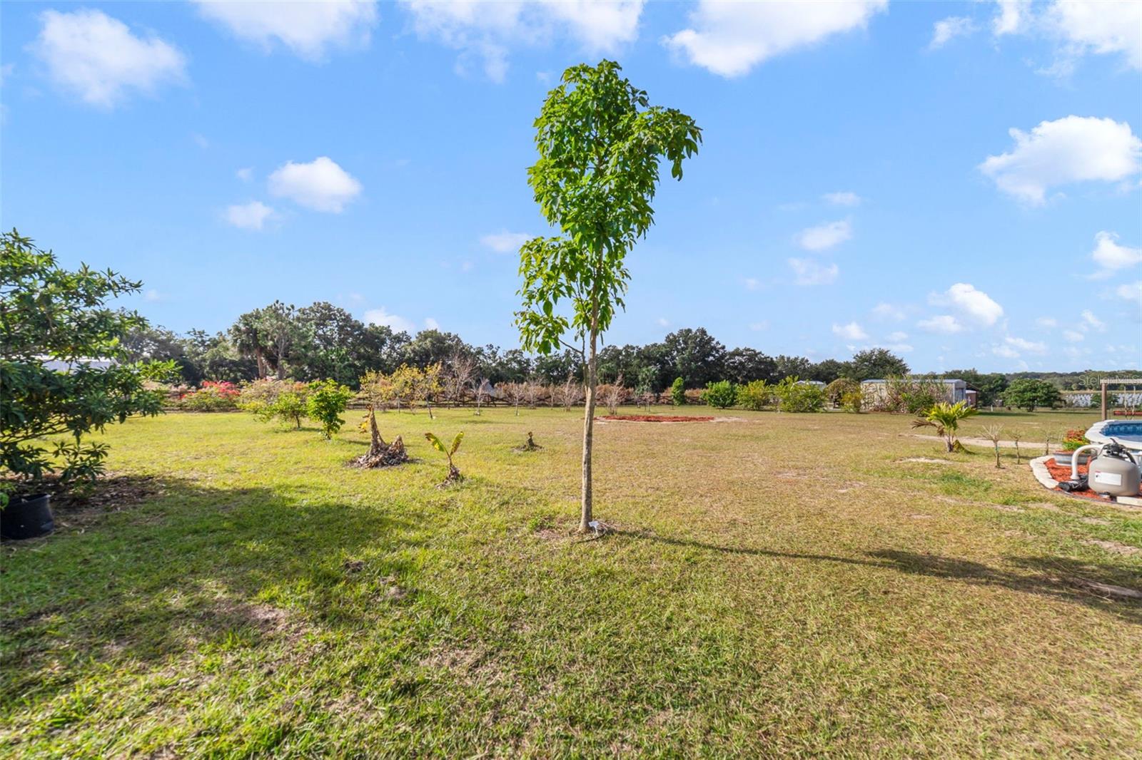 Image 4 of 25 For 37041 Thrill Hill Road