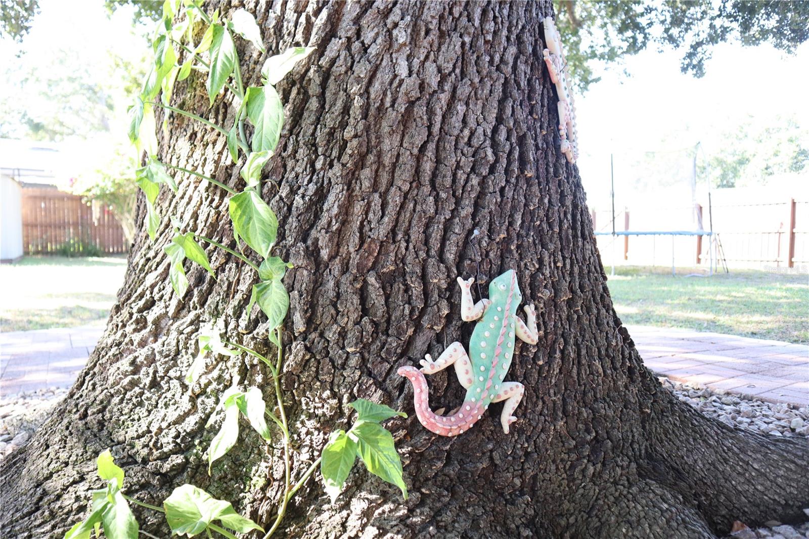 Image 31 of 32 For 3839 Janie Court