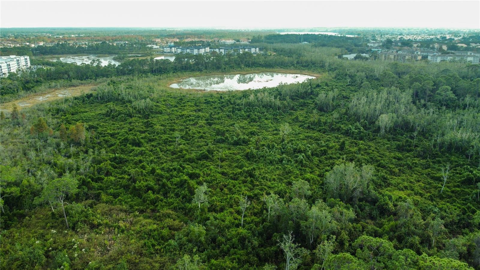 Image 7 of 10 For 17500 Grove Blossom Way