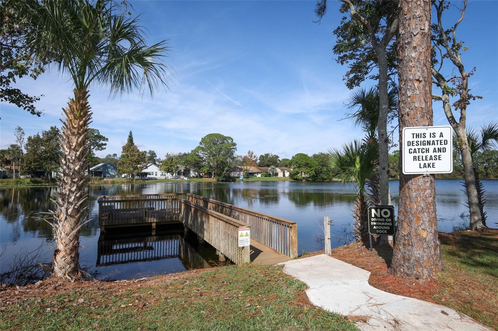 Image 38 of 40 For 148 Sabal Palm Court