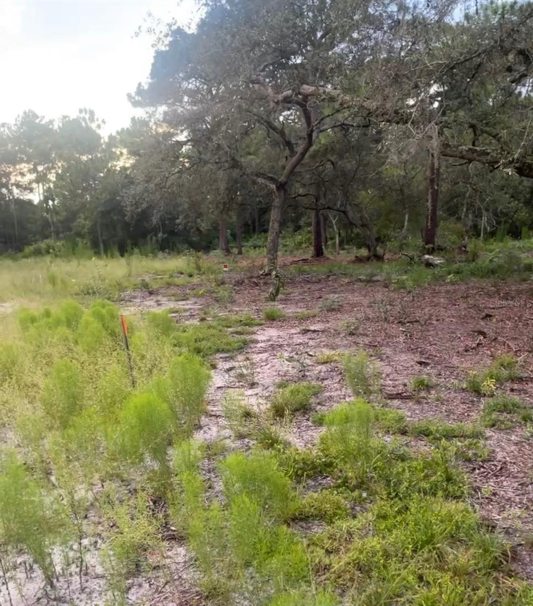 Image 2 of 3 For Brookside Circle