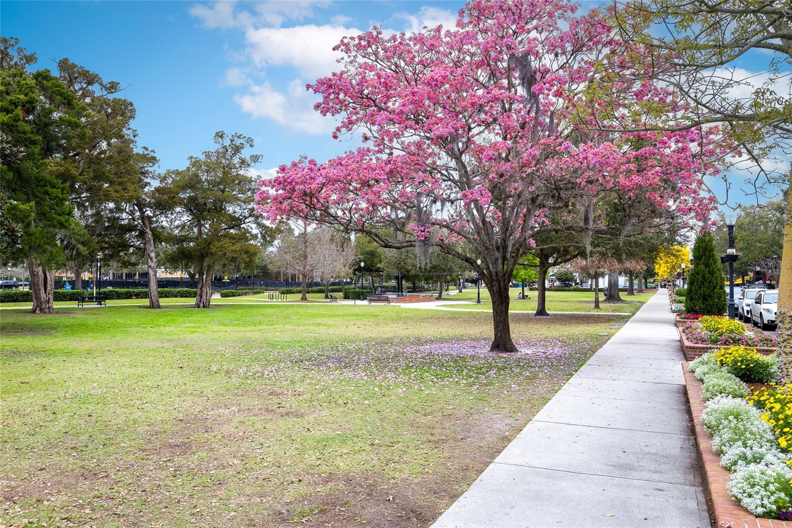 Image 20 of 22 For 1913 Woodcrest Drive B