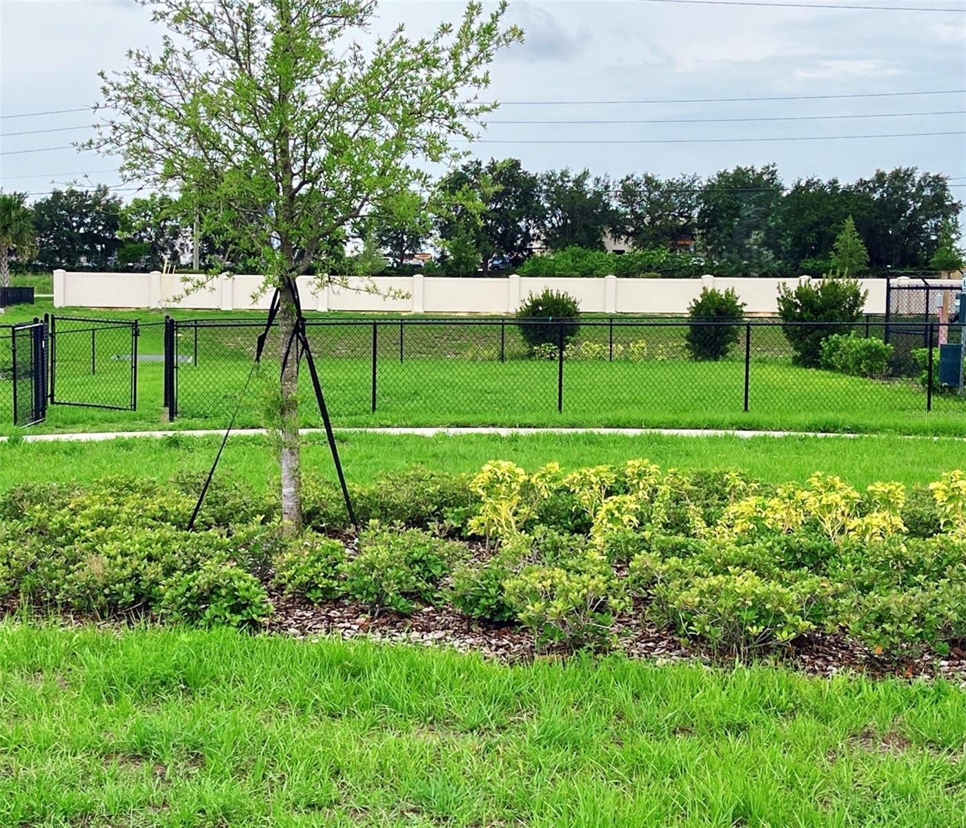 Image 2 of 6 For 389 Marion Loop