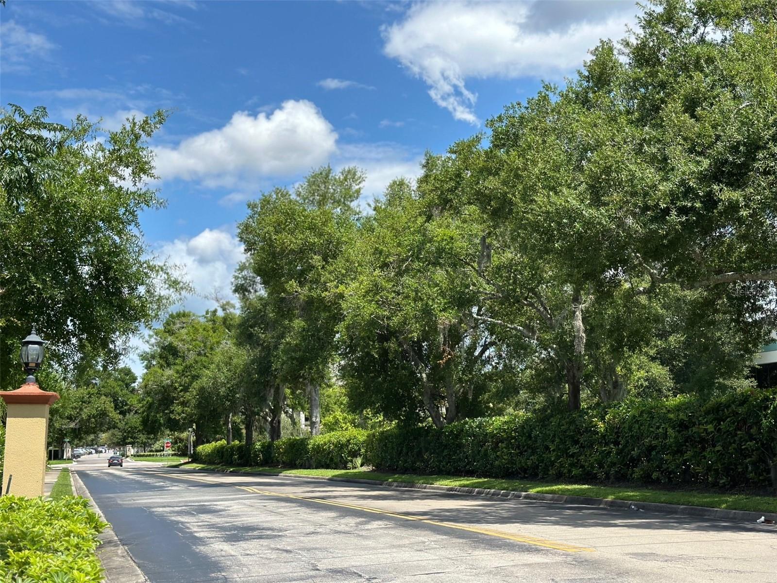 Image 52 of 52 For 602 Kenwick Circle 202