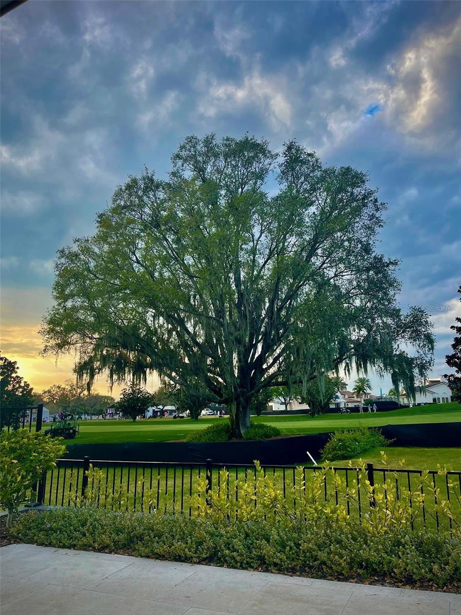 Image 26 of 33 For 6208 Donegal Drive