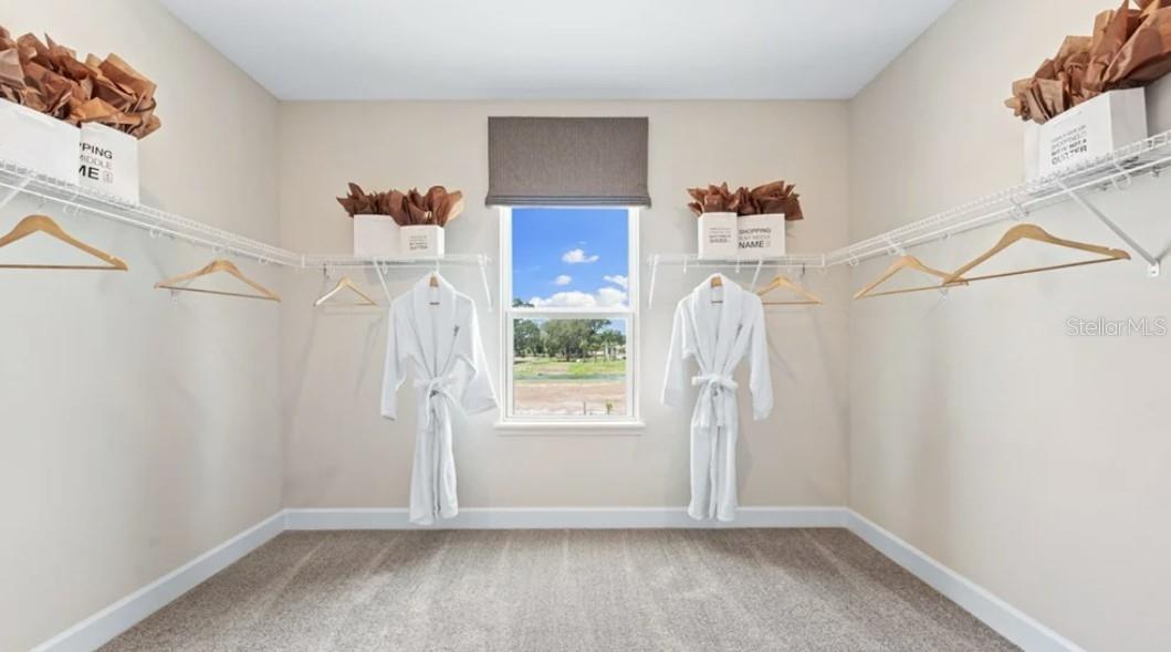 Image 17 of 25 For 831 Junonia Boulevard