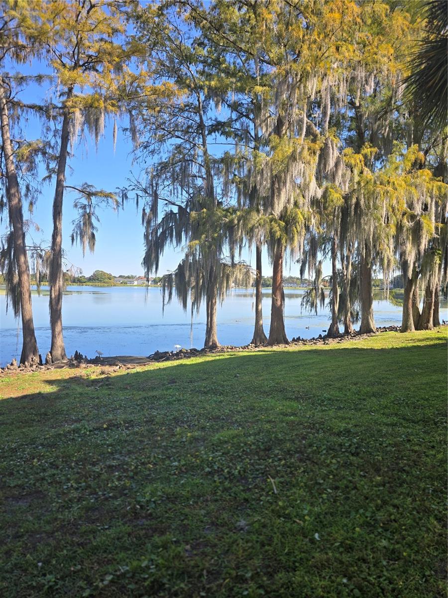 Image 6 of 8 For 2225 Holden Avenue 209