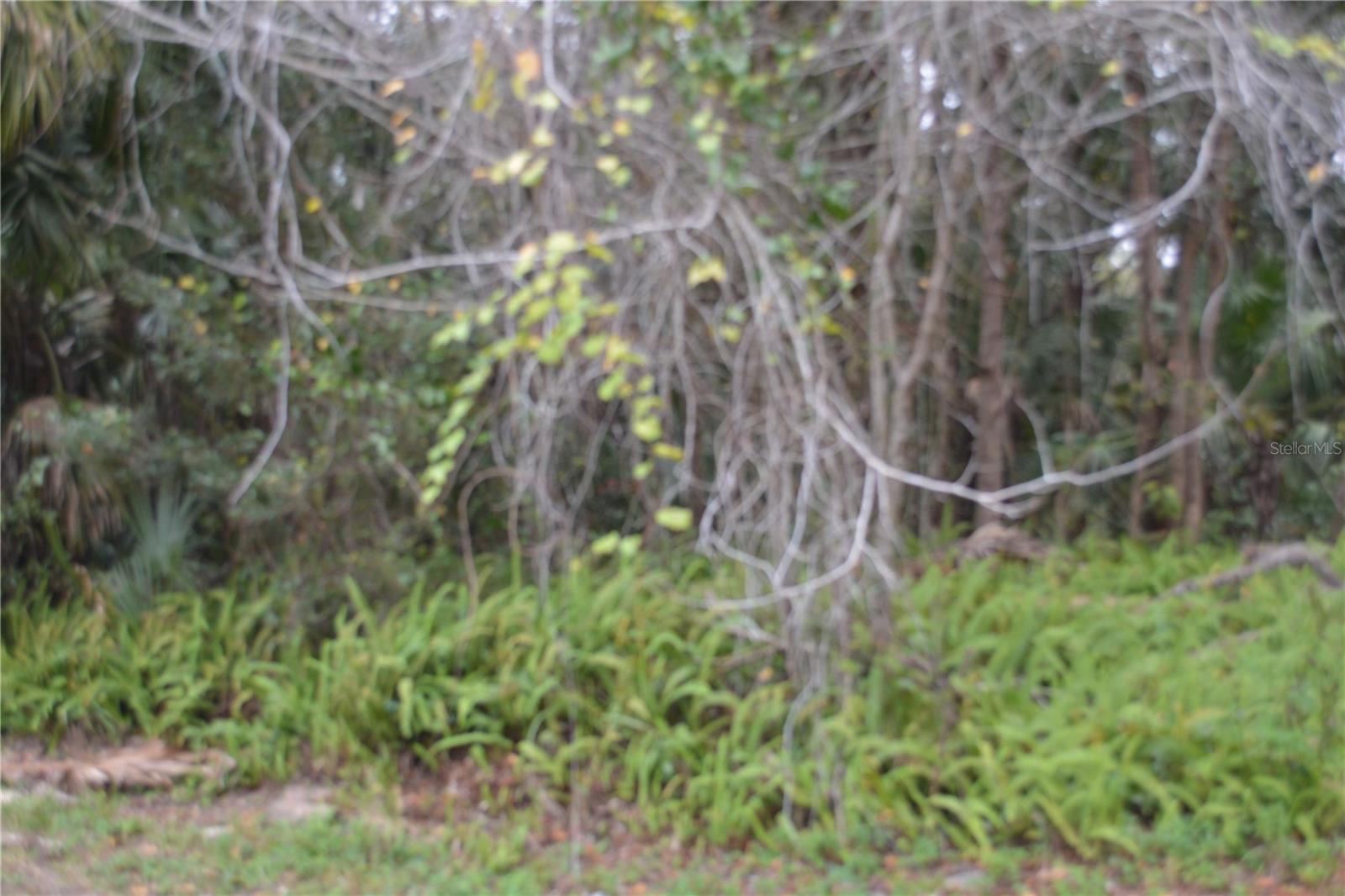 Image 2 of 7 For 0 Hester Avenue Avenue