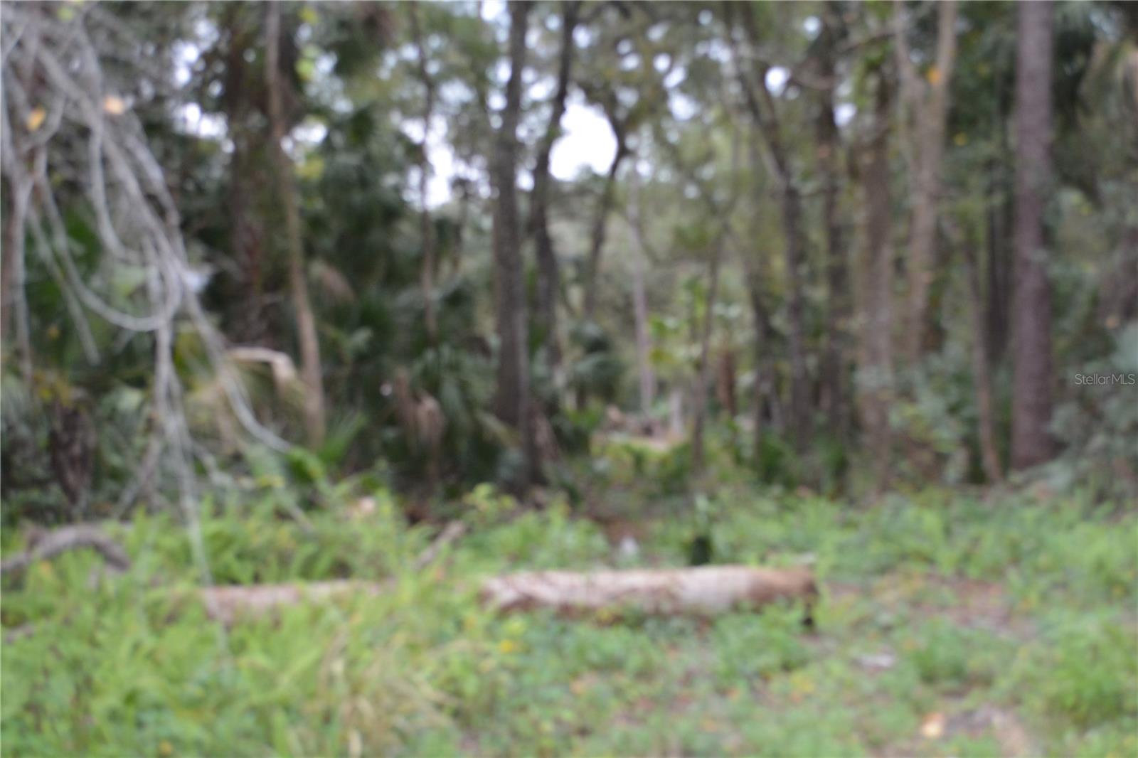 Image 3 of 7 For 0 Hester Avenue Avenue