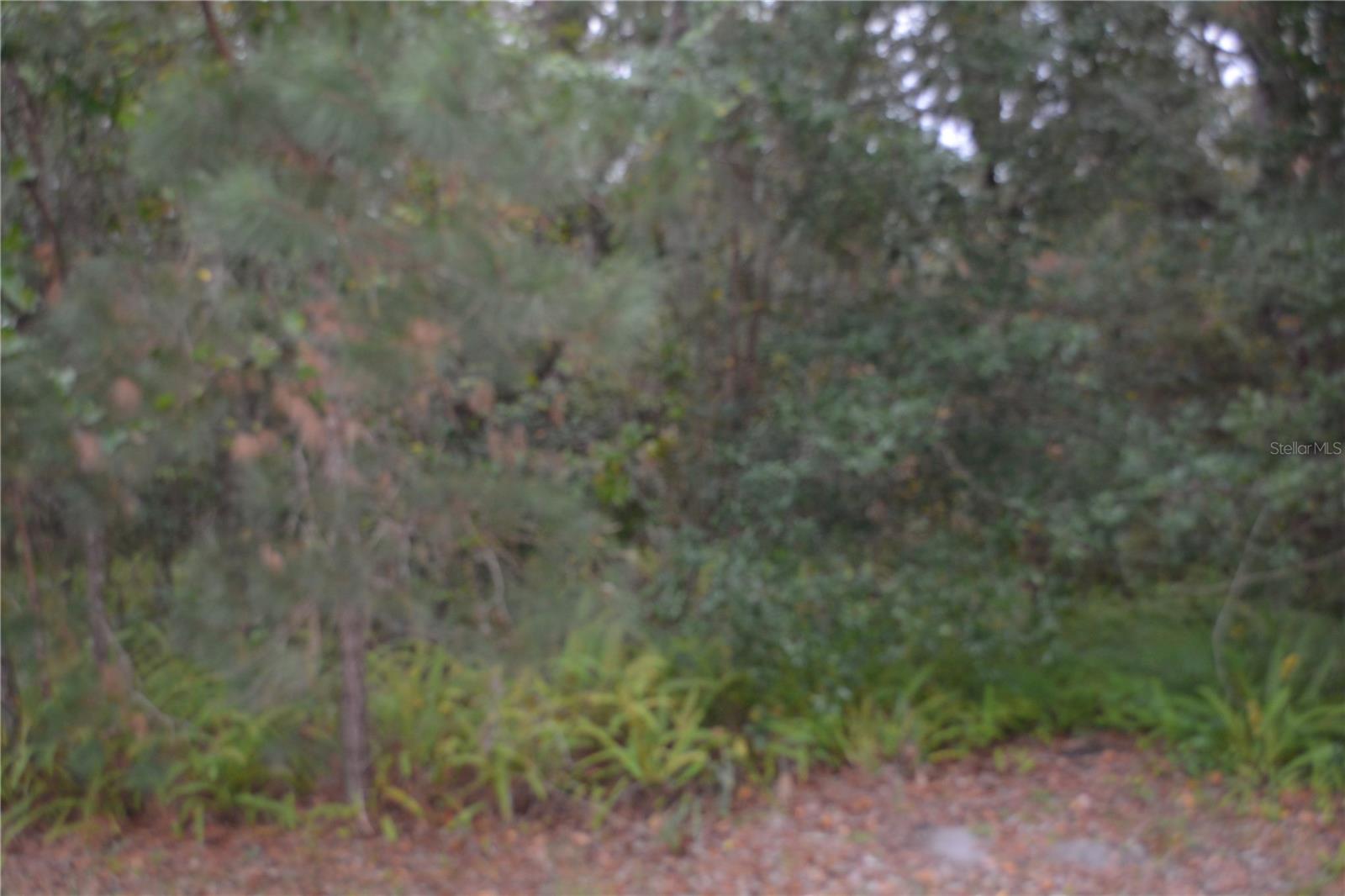 Image 6 of 7 For 0 Hester Avenue Avenue