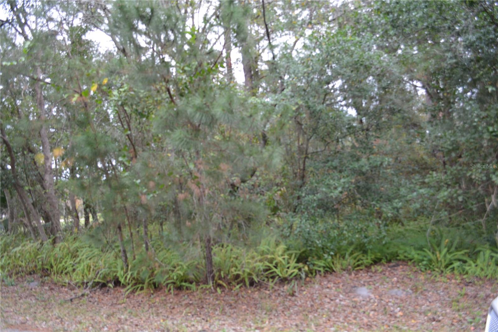 Image 7 of 7 For 0 Hester Avenue Avenue