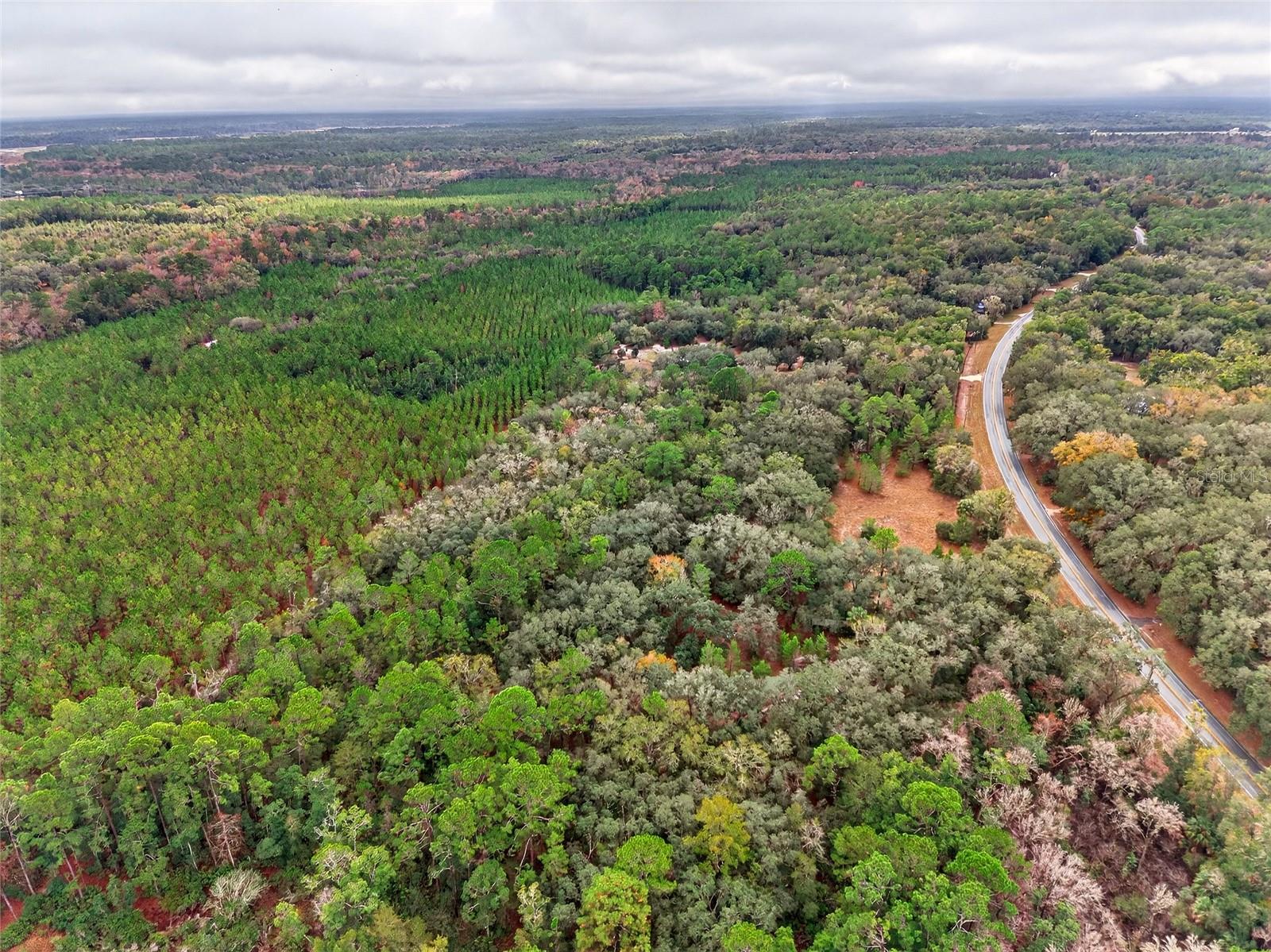 Image 2 of 14 For 910 County Road 21