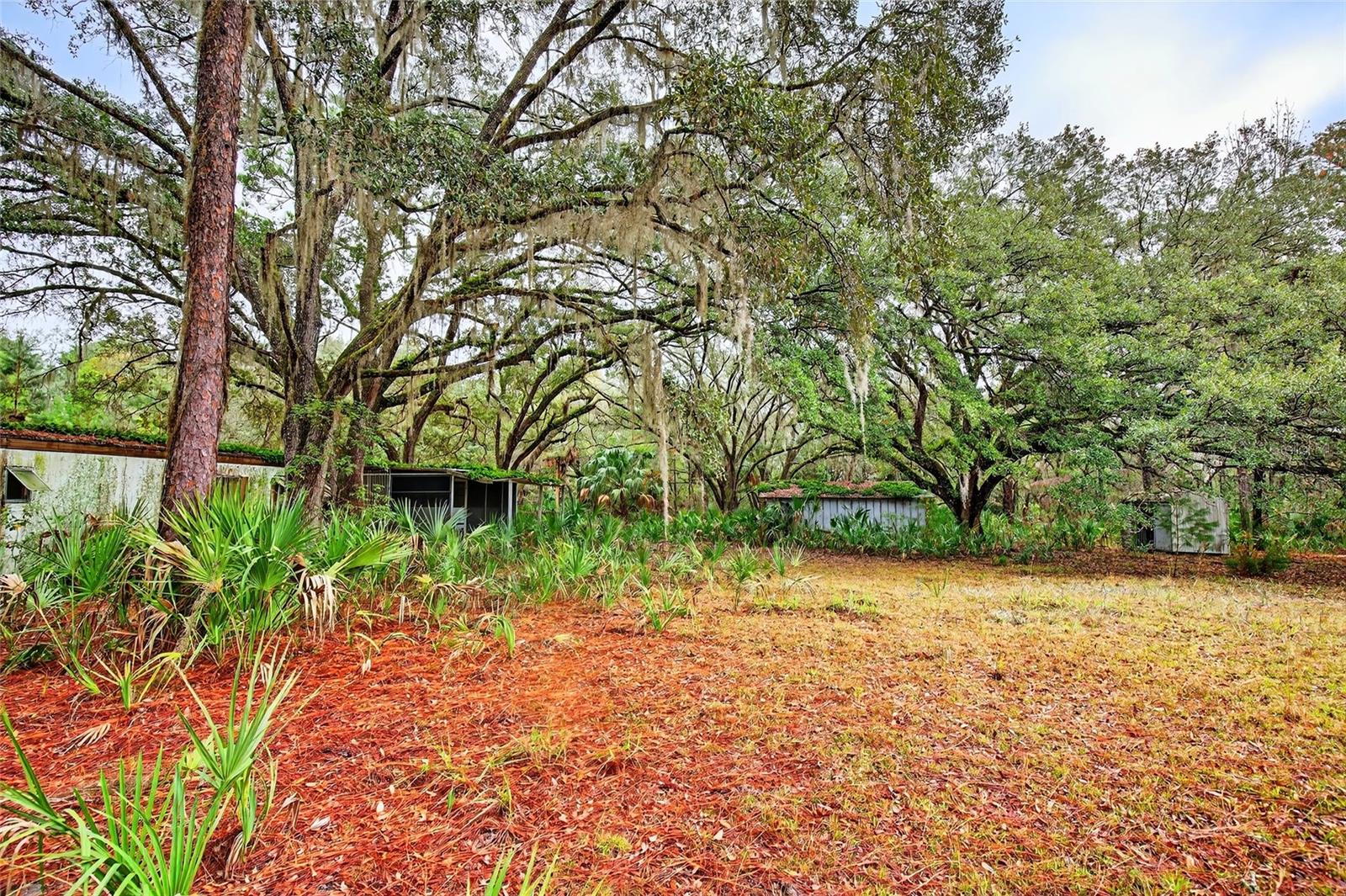 Image 4 of 14 For 910 County Road 21