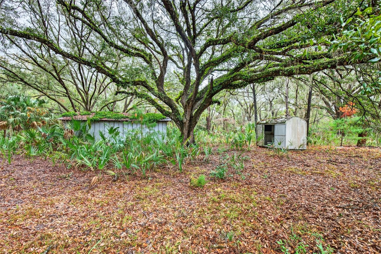 Image 6 of 14 For 910 County Road 21