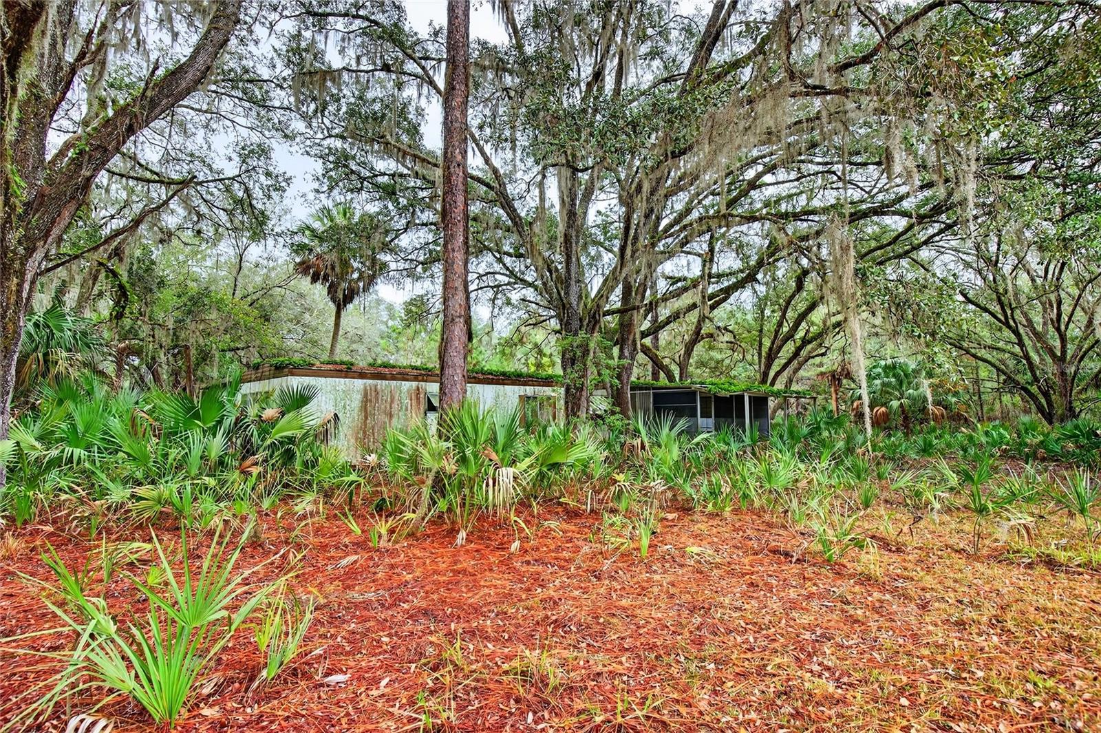 Image 7 of 14 For 910 County Road 21