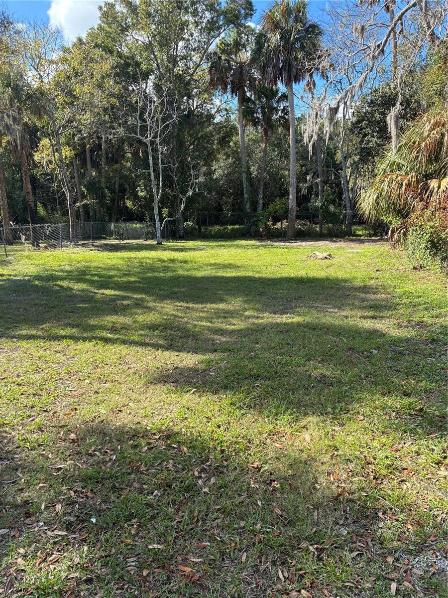 Image 74 of 80 For 812 Marion Street