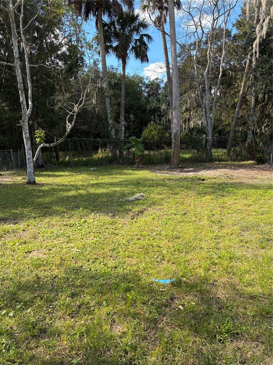 Image 75 of 80 For 812 Marion Street