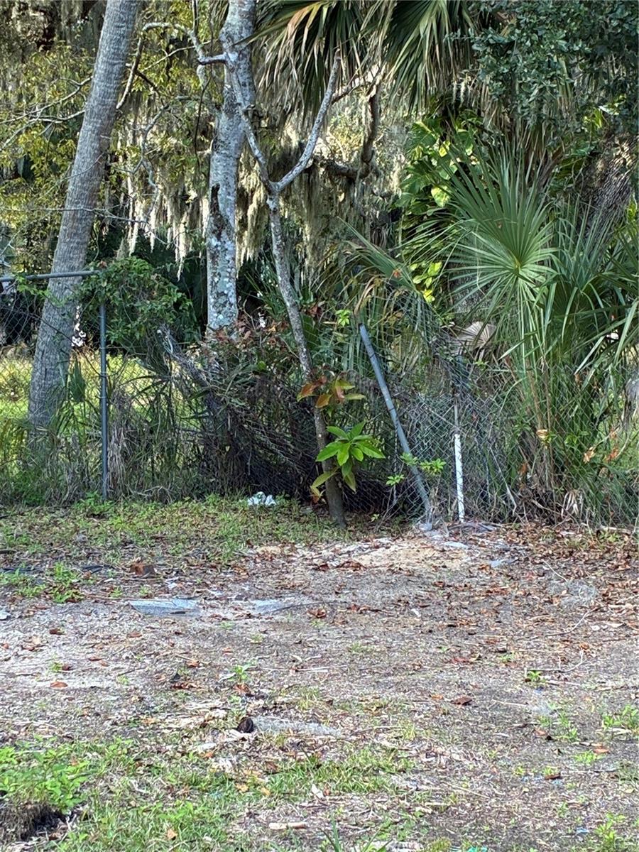 Image 76 of 80 For 812 Marion Street