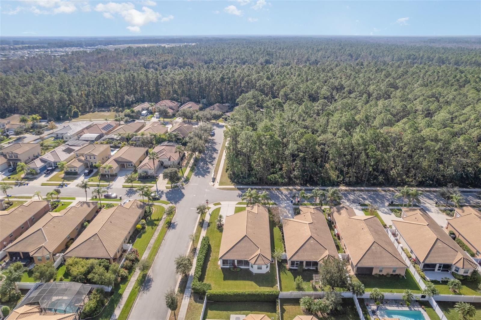 Image 44 of 47 For 3447 Luna Bella Lane