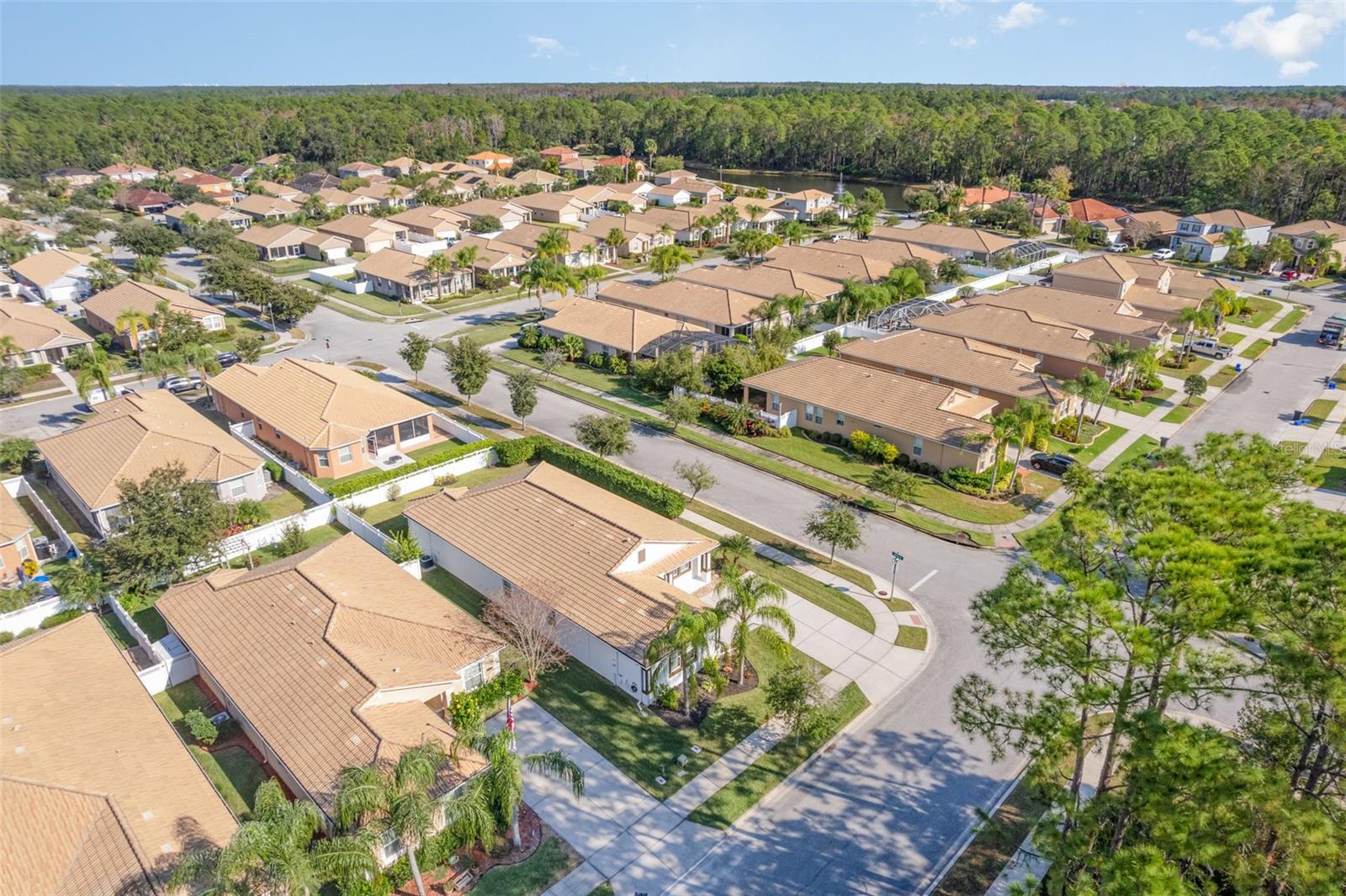 Image 45 of 47 For 3447 Luna Bella Lane