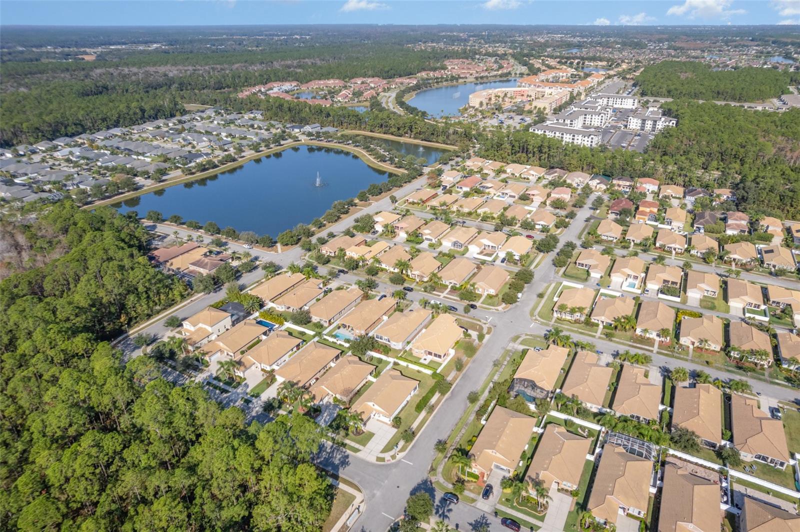 Image 46 of 47 For 3447 Luna Bella Lane