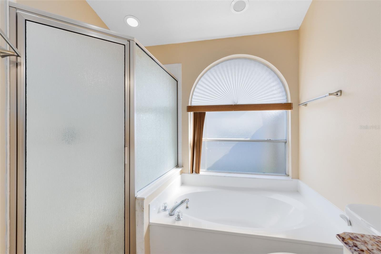 Image 16 of 25 For 10848 Lanesboro Court