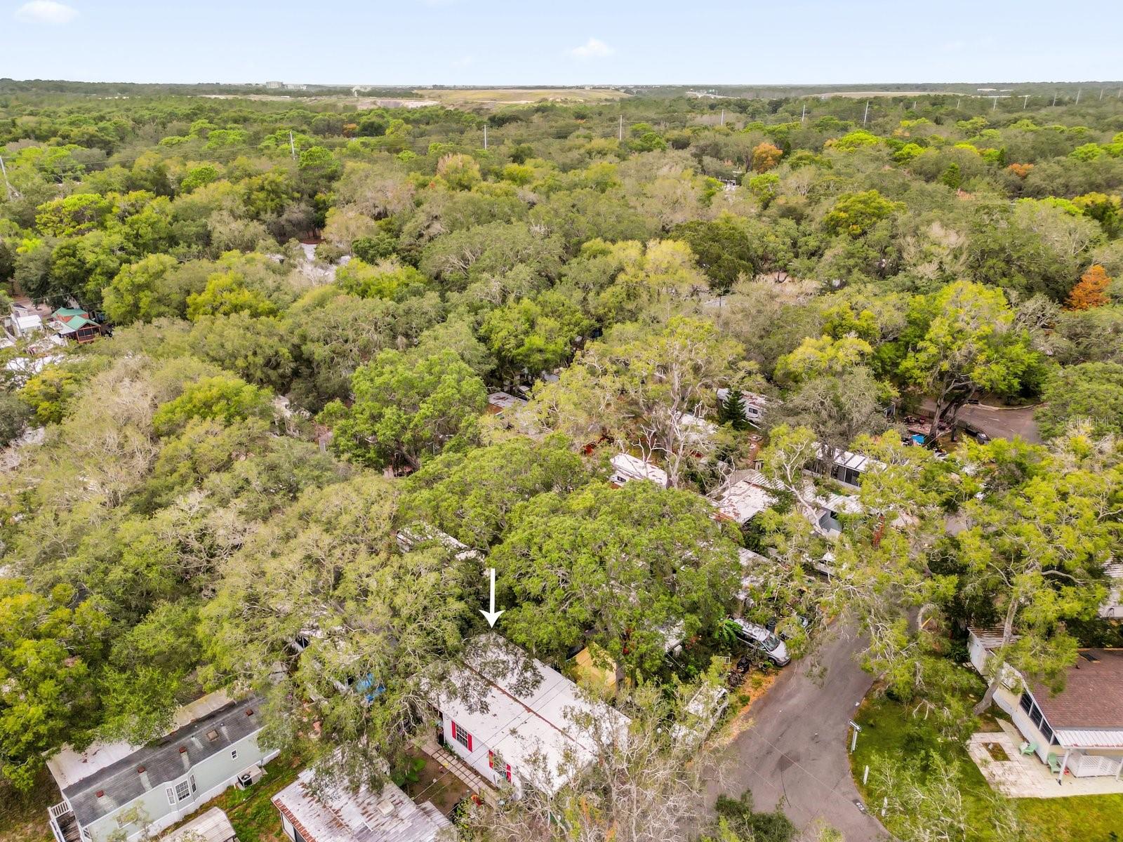 Image 21 of 23 For 3000 Clarcona Road 1412