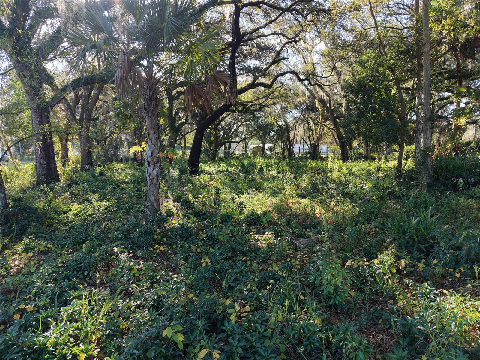 Image 6 of 9 For 15192 E Colonial Dr