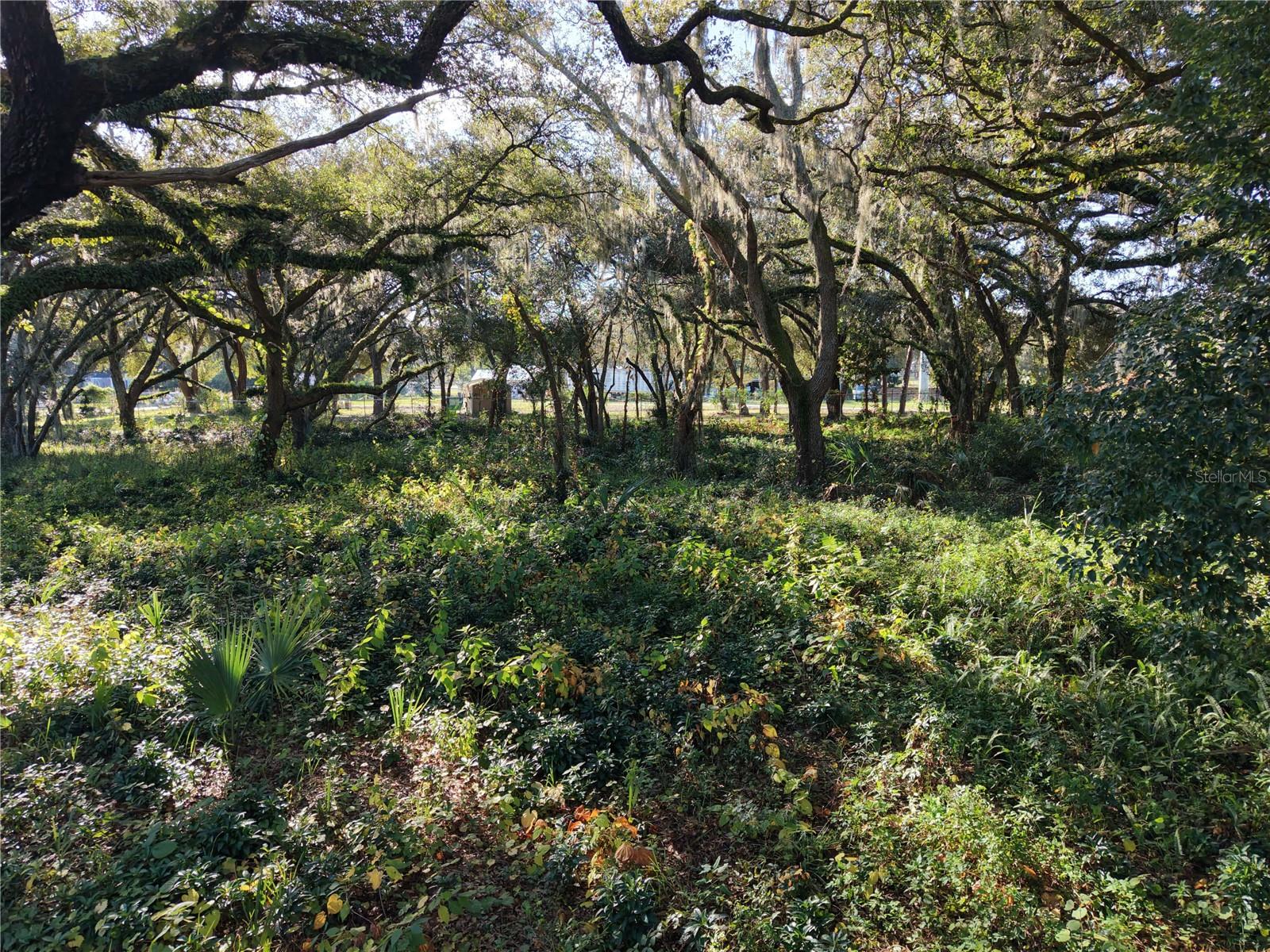 Image 7 of 9 For 15192 E Colonial Dr