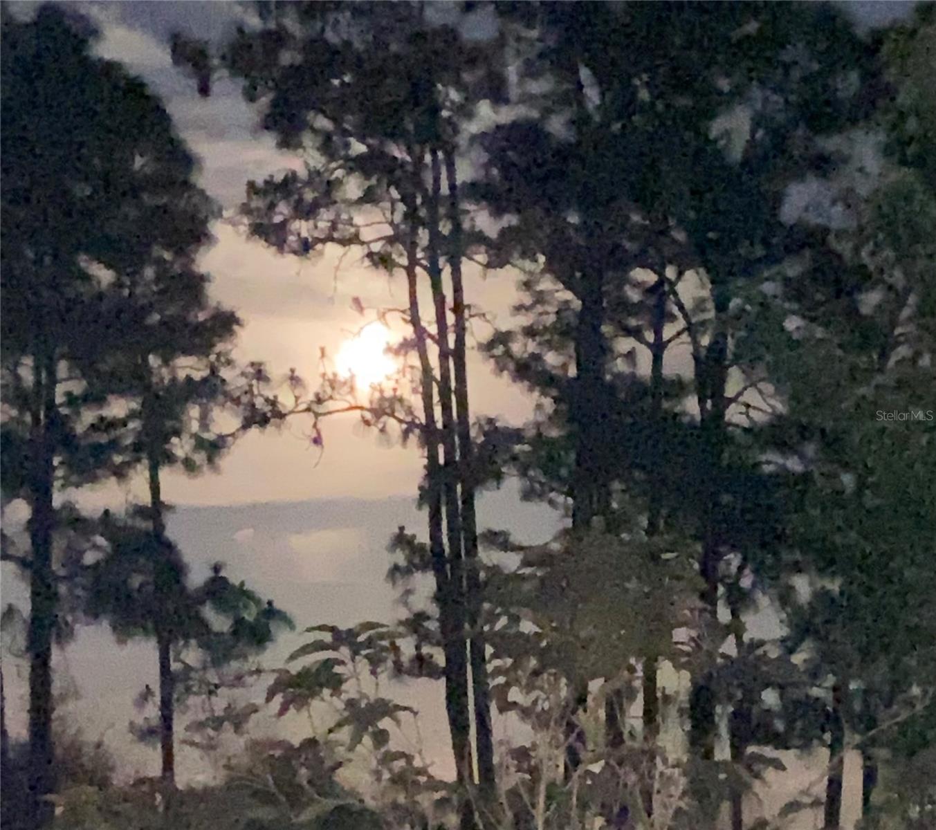 Image 63 of 63 For 4775 Cypress Creek Ranch Road