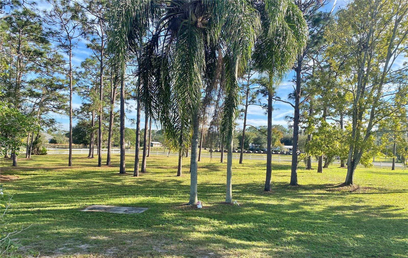 Image 9 of 61 For 4775 Cypress Creek Ranch Road