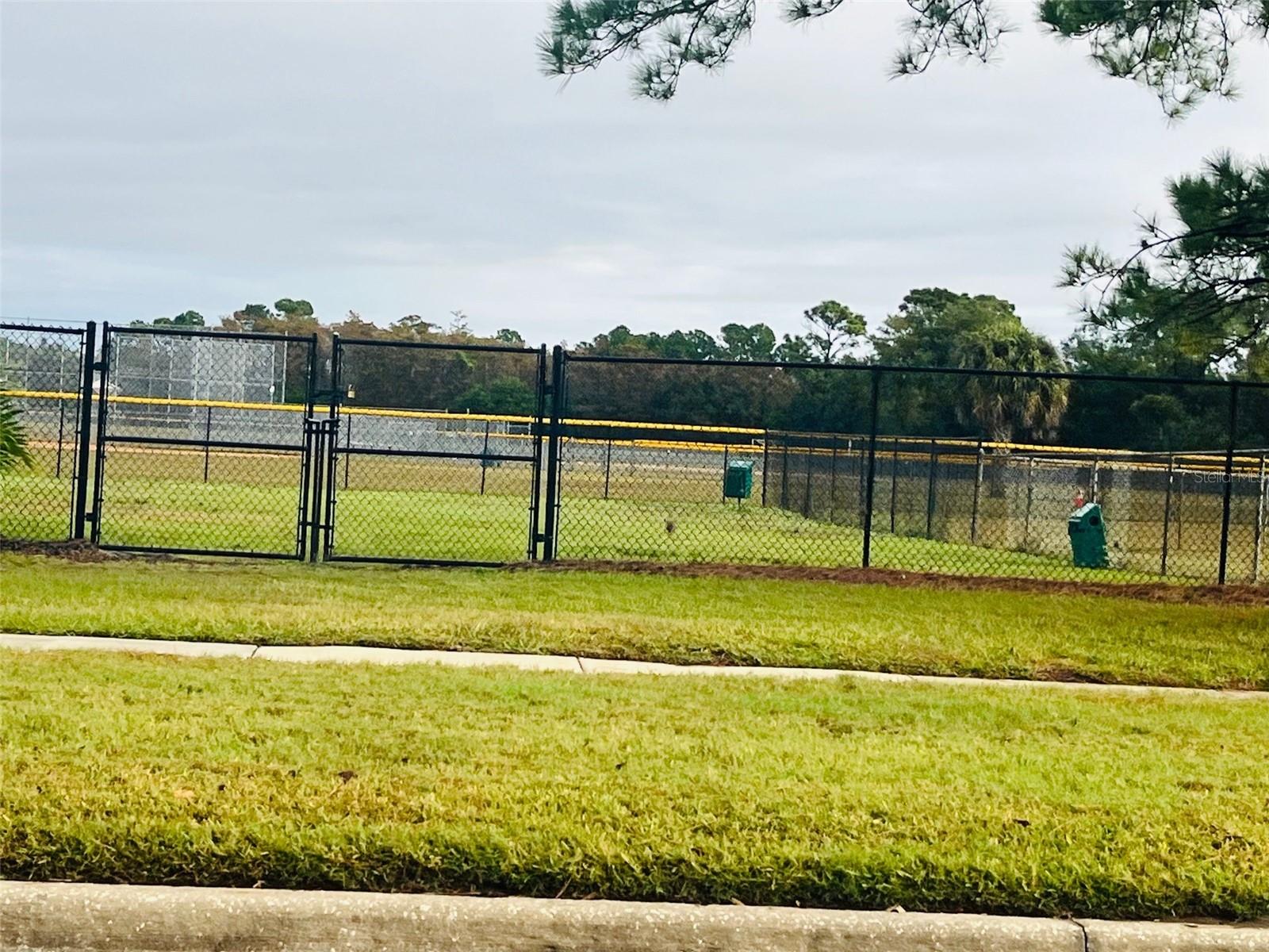 Image 22 of 25 For 651 Uncle Jack Court