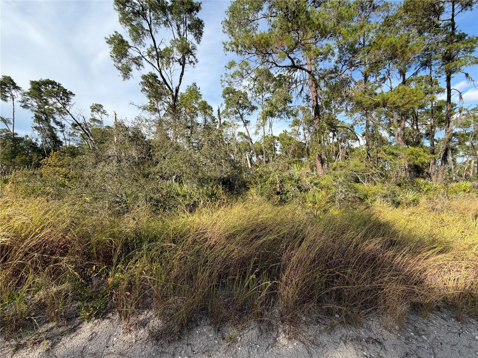 Image 2 of 3 For 478 Darter Avenue