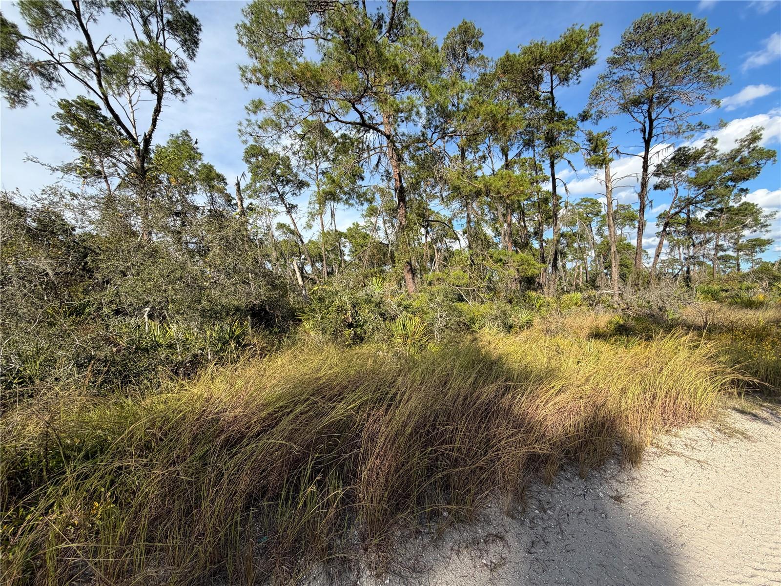 Image 2 of 3 For 556 Quail Avenue