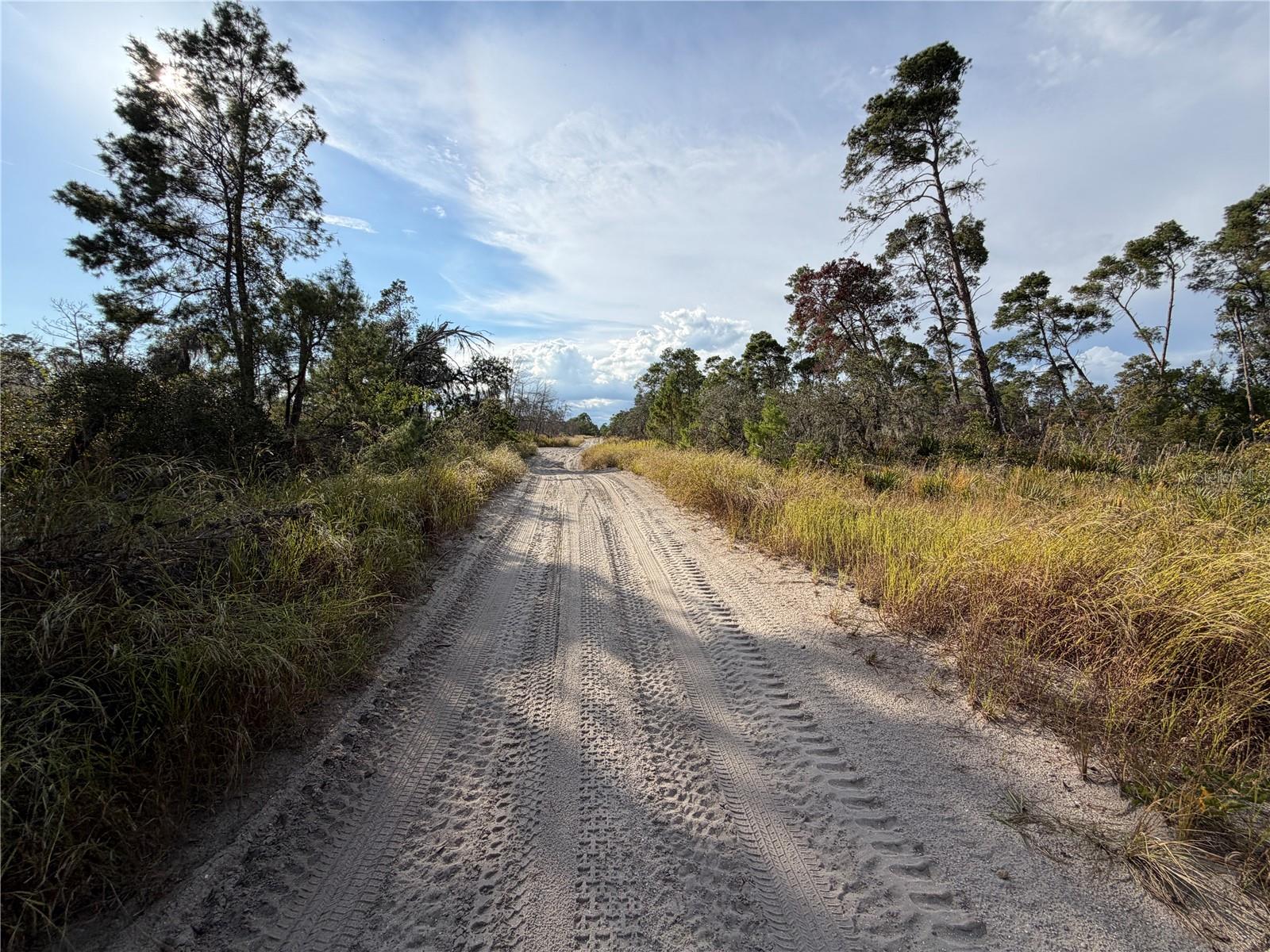 Image 3 of 3 For 556 Quail Avenue