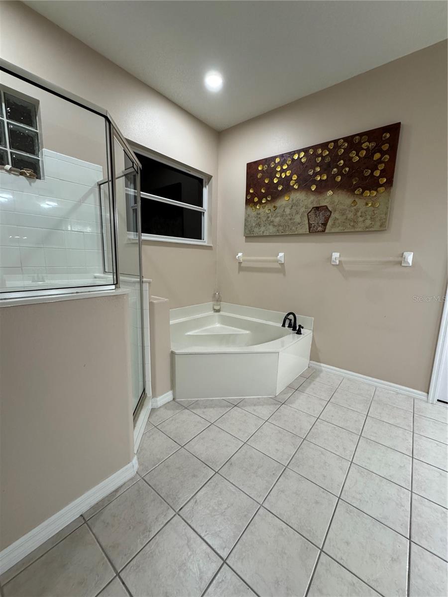 Image 40 of 83 For 1667 Shadowmoss Circle