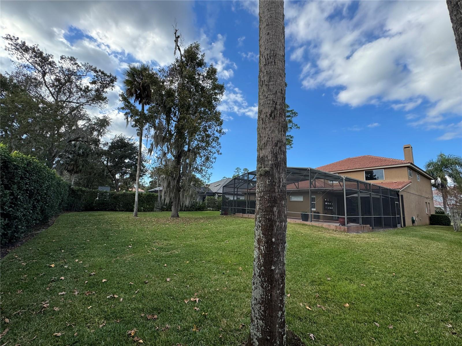 Image 46 of 83 For 1667 Shadowmoss Circle